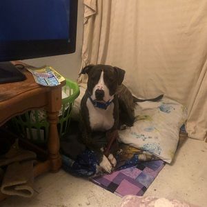 Meet your Posher, Becky